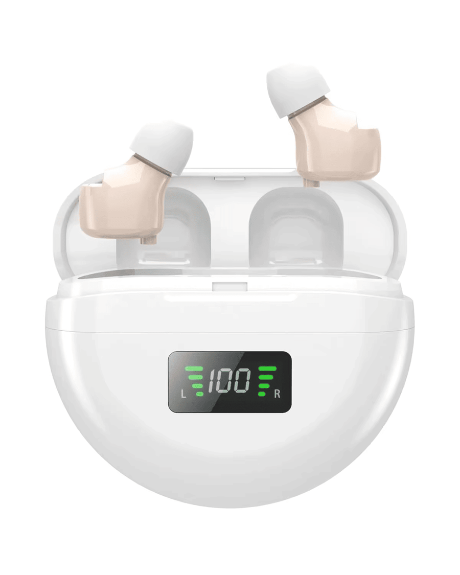 Paire d'amplificateurs de son nomades rechargeables