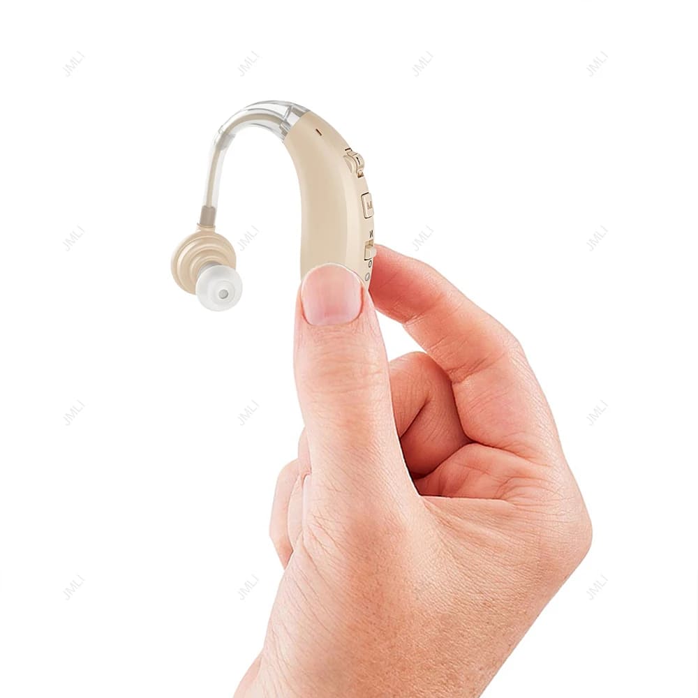 Paire d'amplificateurs de son nomades rechargeables