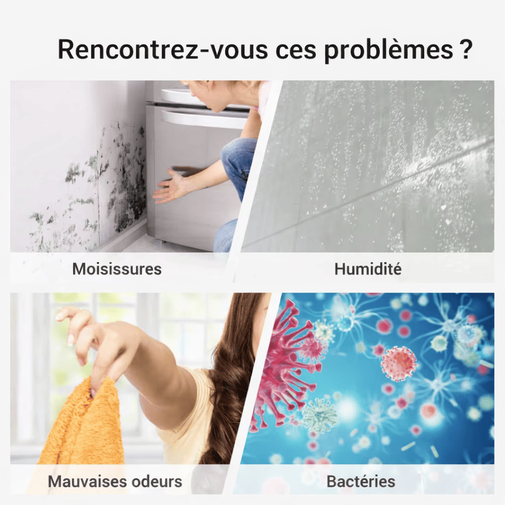 Déshumidificateur d'Air